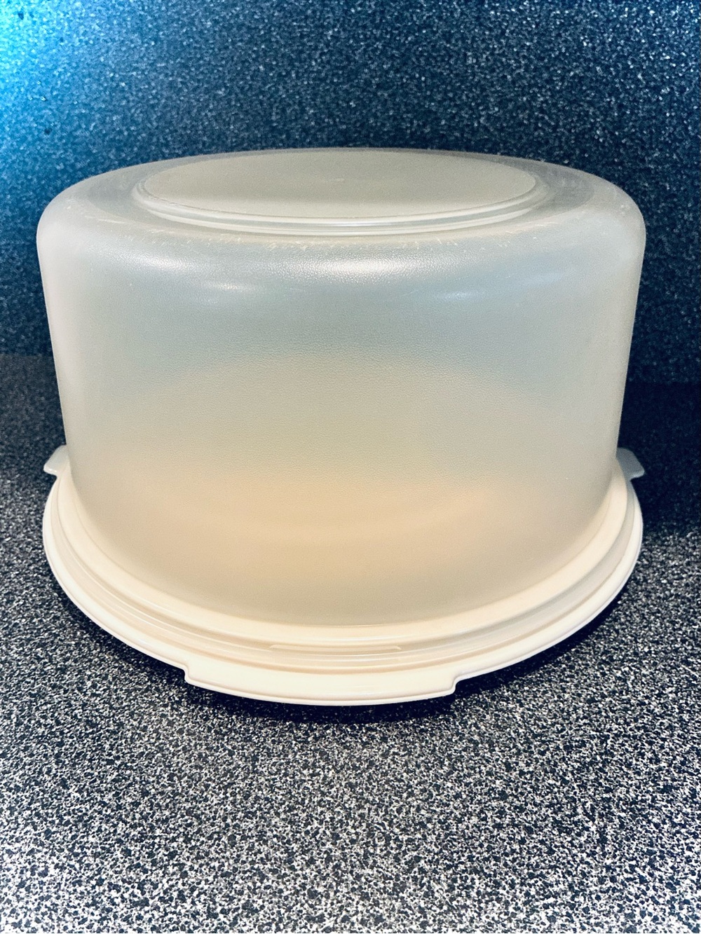 Vintage Rubbermaid®️ Large Servin' Saver, Round Cake/Food Container